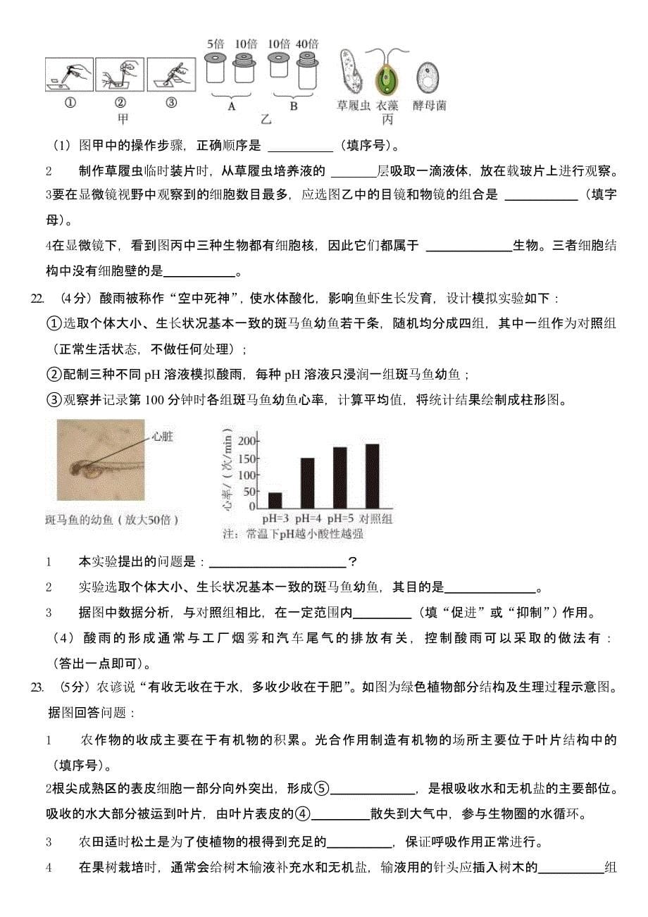 2024年吉林省长春市中考生物试卷含答案_第5页