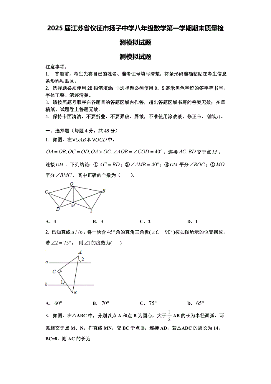 2025届江苏省仪征市扬子中学八年级数学第一学期期末质量检测模拟试题含解析_第1页