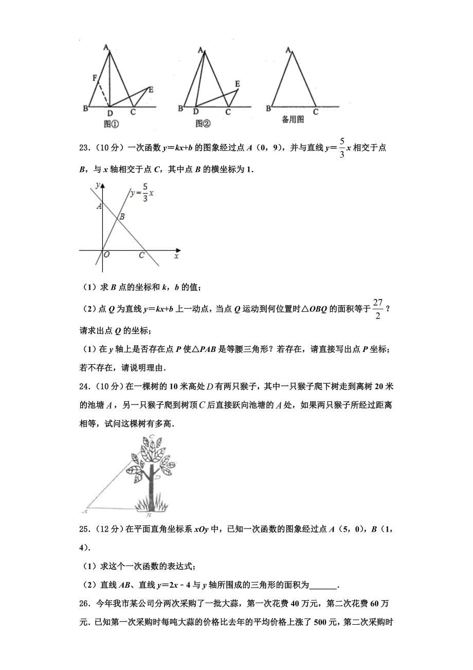 2025届广西龙胜县数学八上期末综合测试模拟试题含解析_第5页