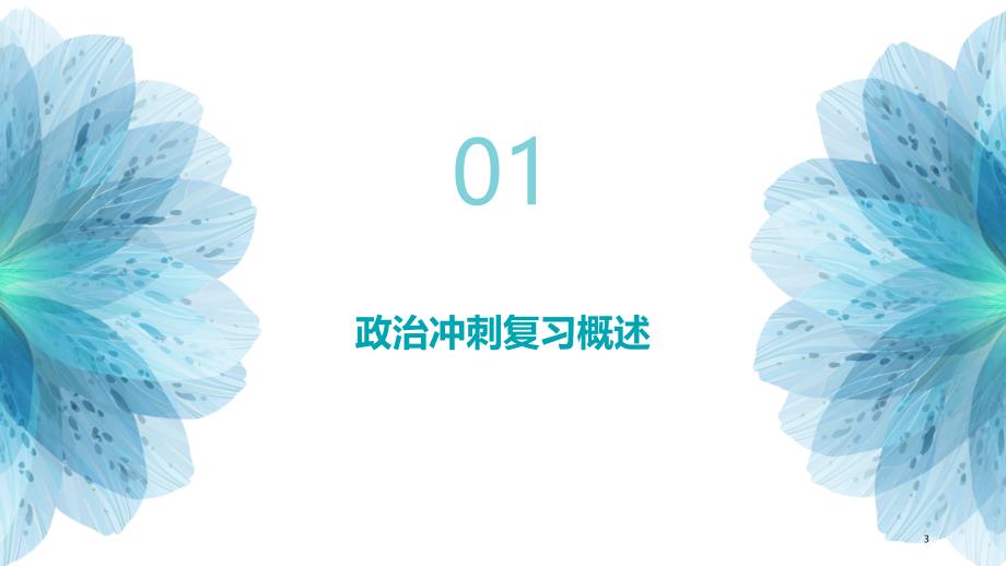 2024届全国新高考政治冲刺复习正确运用判断_第3页