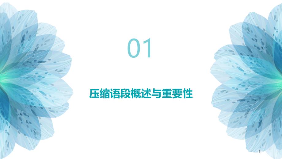 2024届新高考语文精准冲刺复习压缩语段_第3页