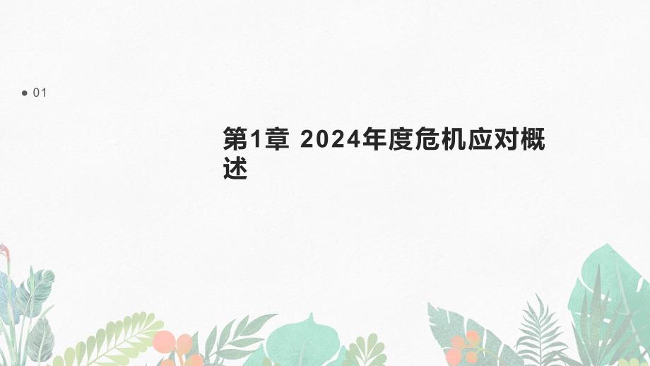 2024年度危机应对与公关案例总结模板_第3页