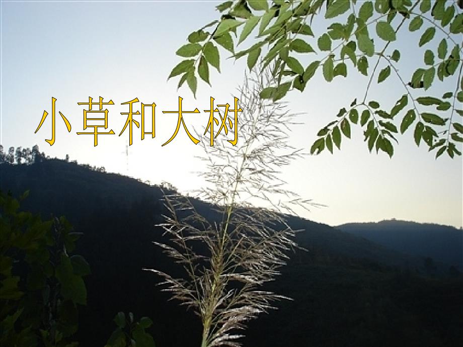 小草和大树2【四年级下册语文】_第1页