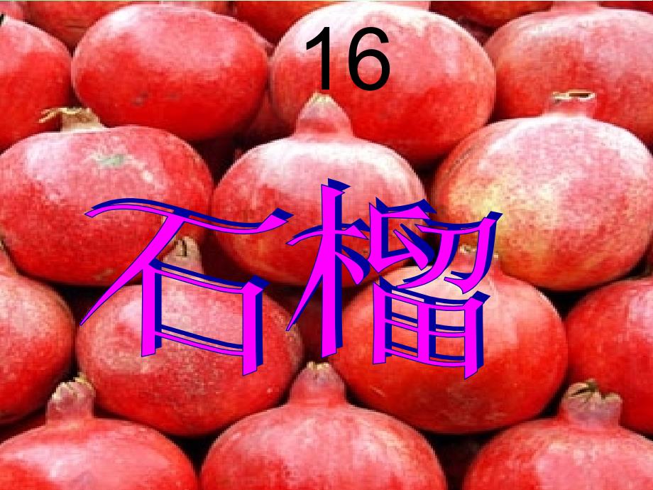 16石榴课件1【三年级上册语文】_第2页