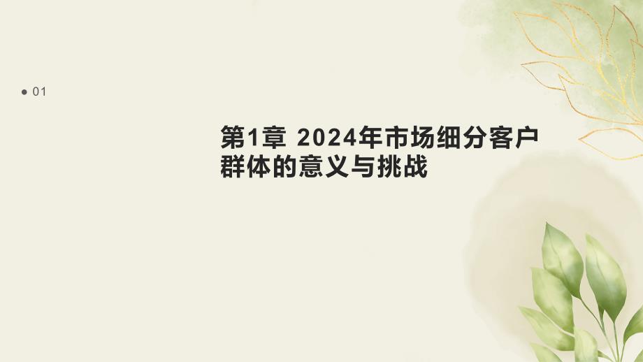 2024年市场细分客户群体精细化运营_第3页