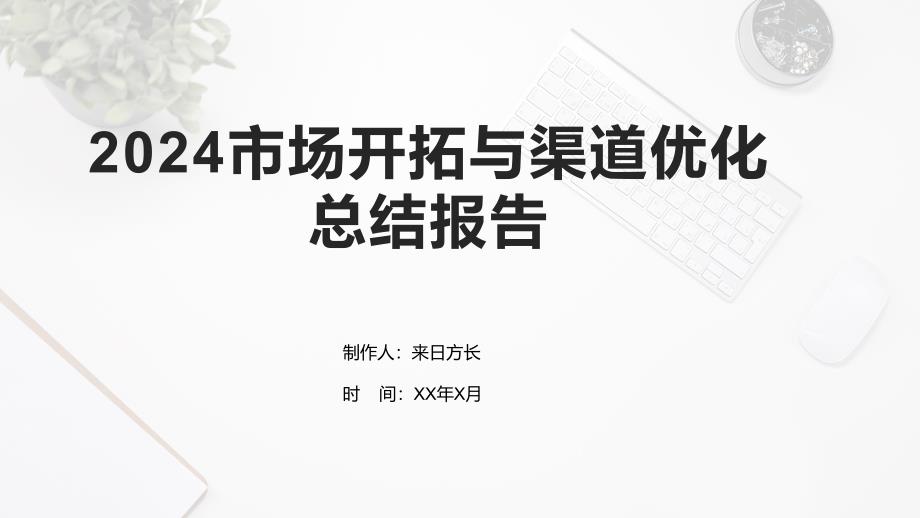 2024市场开拓与渠道优化总结报告_第1页