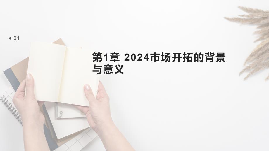 2024市场开拓与渠道优化总结报告_第3页