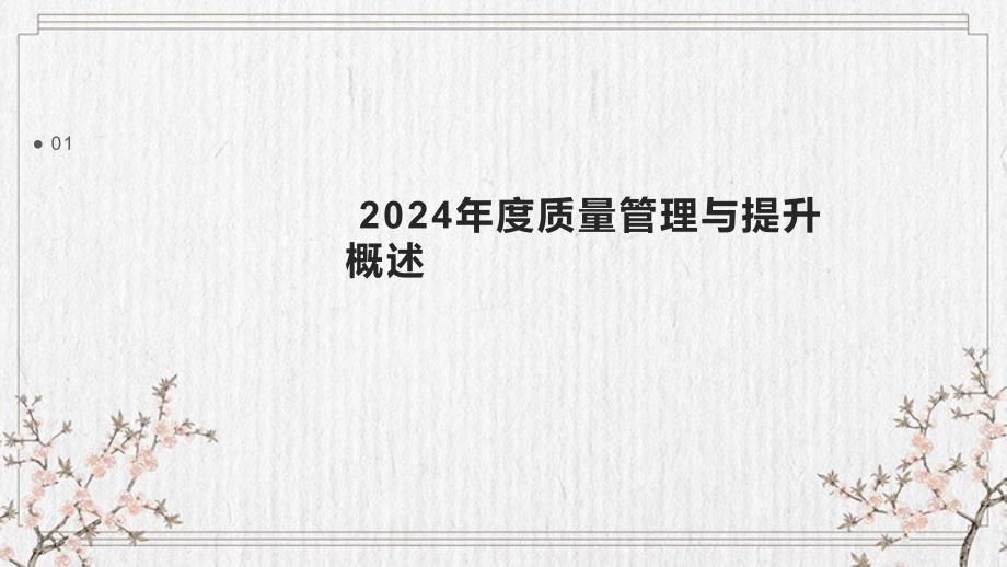 2024年度质量管理与提升述职报告_第3页