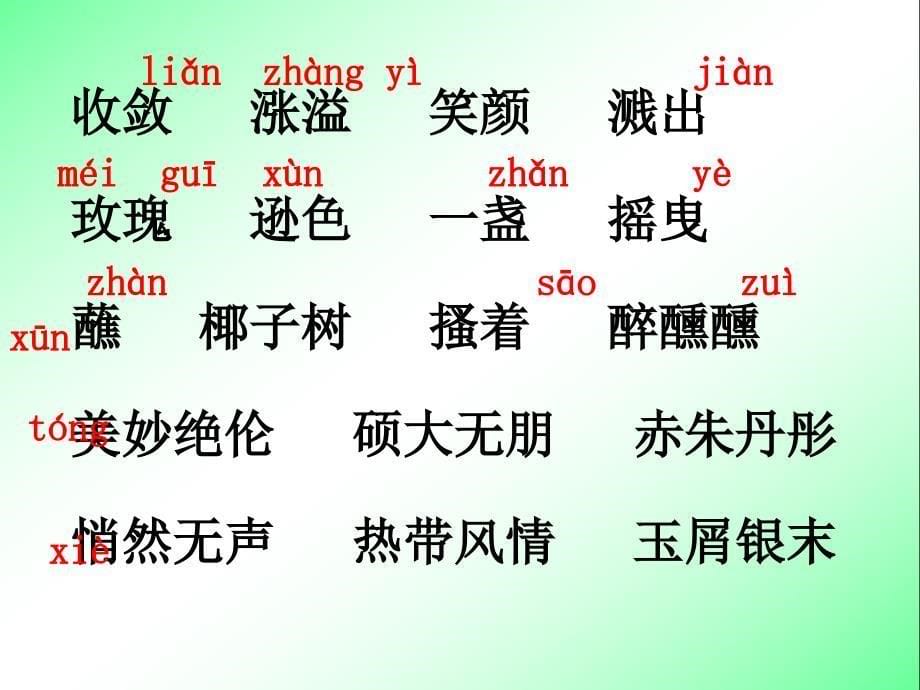 三亚落日1【六年级下册语文】_第5页