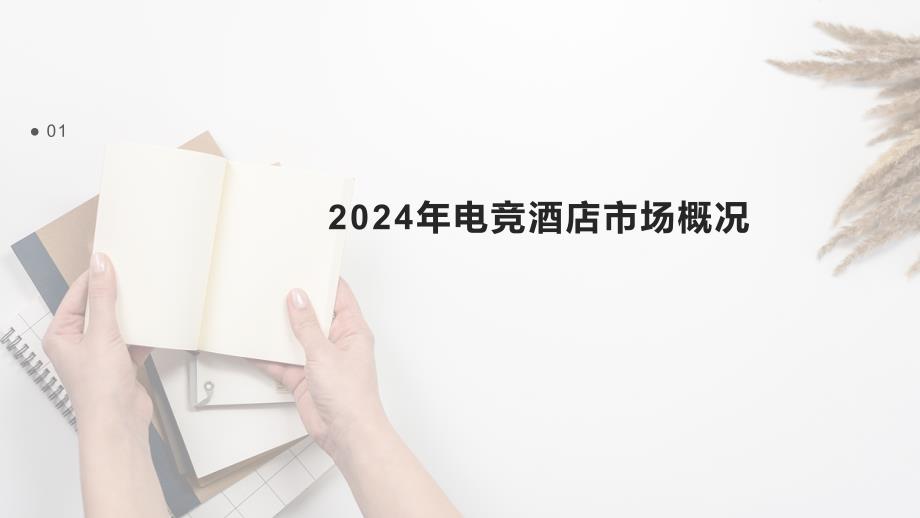 2024年电竞酒店市场展望_第3页