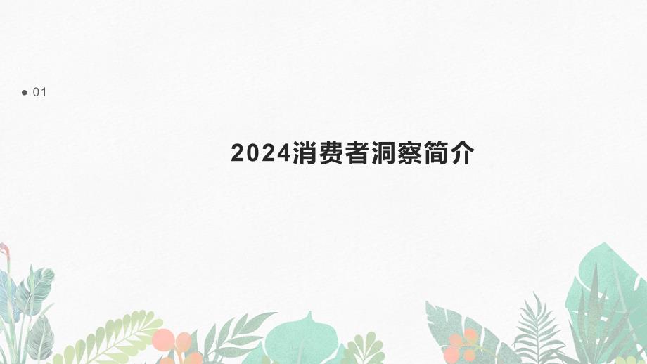 2024消费者洞察与策略调整_第3页