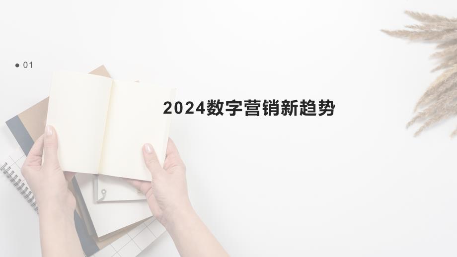 2024数字营销新策略_第3页