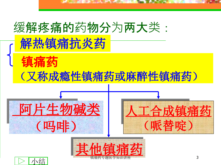 医学医疗-镇痛药专题医学知识讲座培训课件_第3页