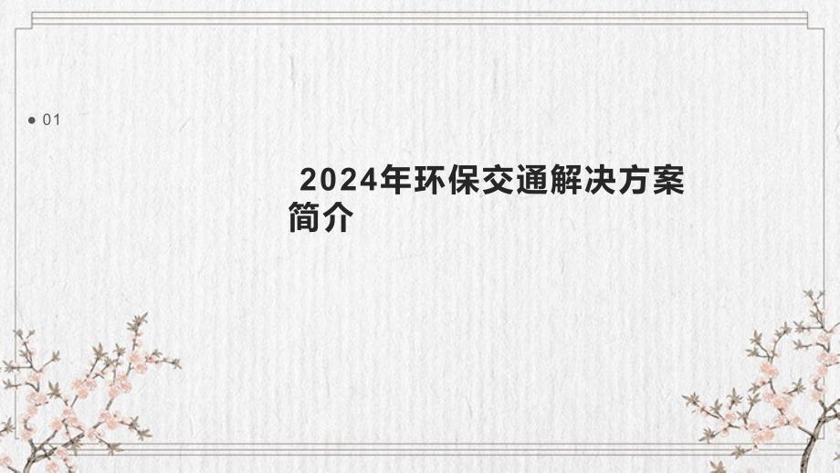 2024年环保交通解决方案_第3页