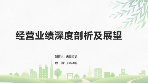 经营业绩深度剖析及展望