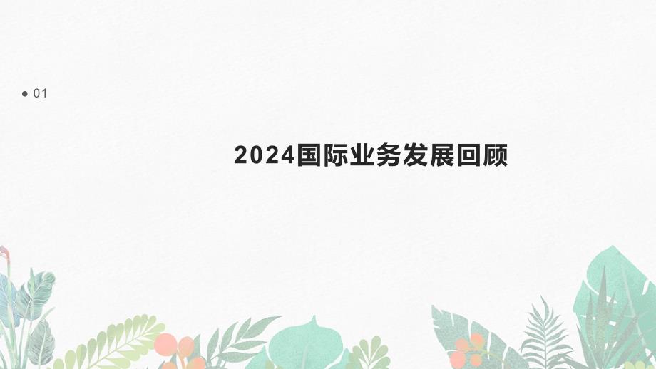 2024国际业务发展回顾总结_第3页