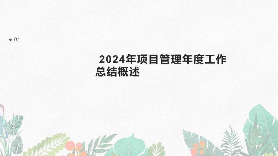 2024年项目管理年度工作总结报告模板_第3页