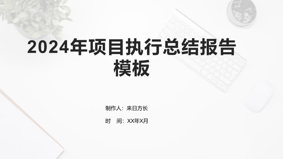 2024年项目执行总结报告模板_第1页