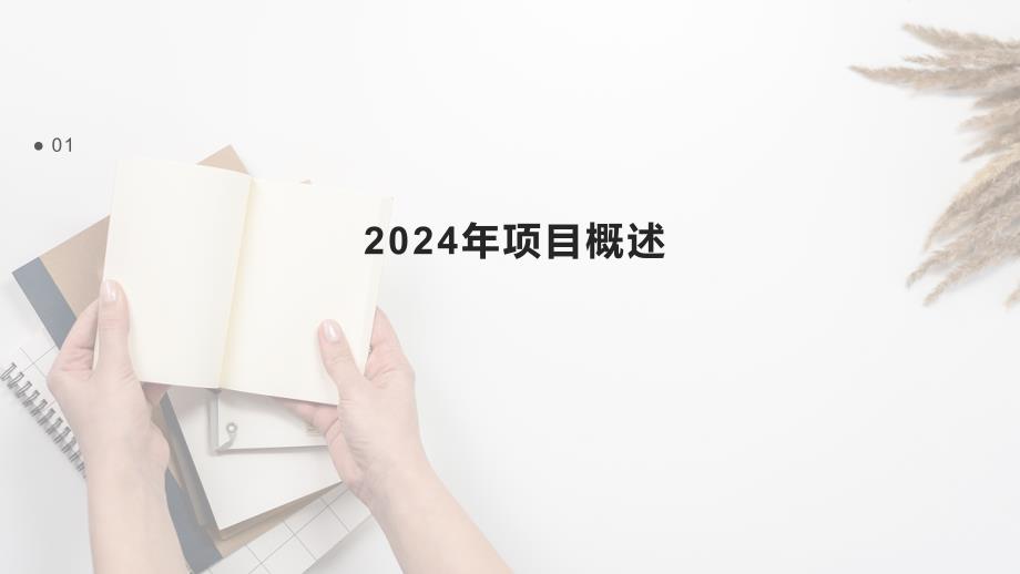 2024年项目执行总结报告模板_第3页