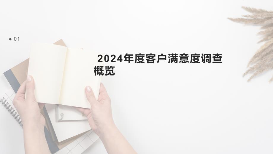 2024年度客户满意度与服务改进模板_第3页