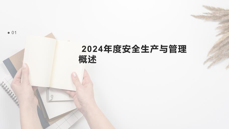 2024年度安全生产与管理总结模板_第3页