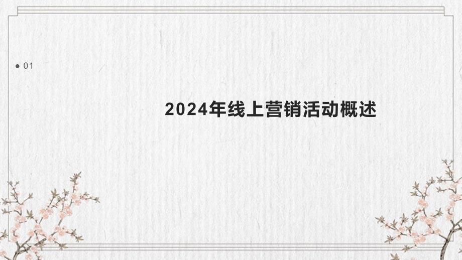 2024年线上营销活动总结报告模板_第3页