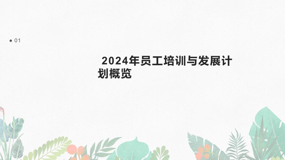 2024年员工培训与发展计划实施总结模板_第3页