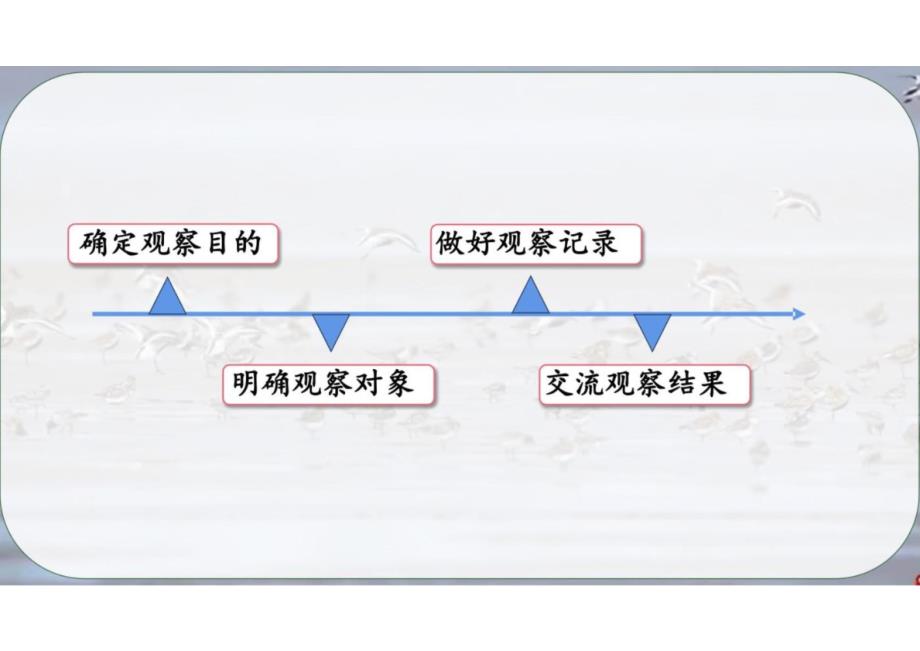 （人教2024版）生物七上 第一章 认识生物 单元复习课件_第4页