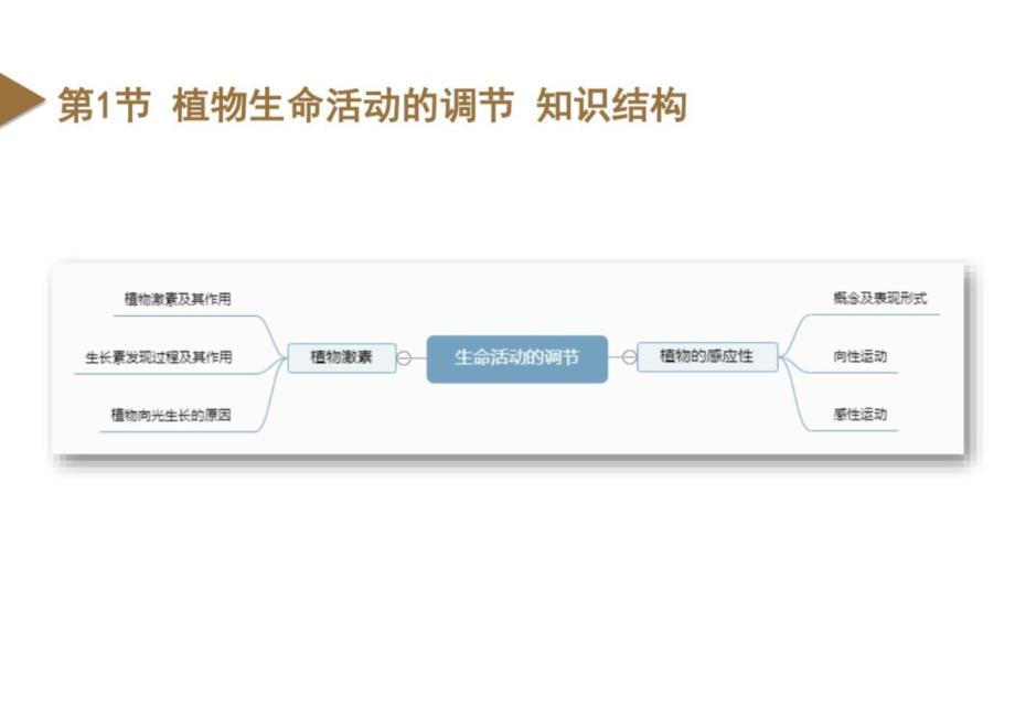 2025（浙教版）地理八上 第3章 生命活动的调节 单元复习课件_第4页