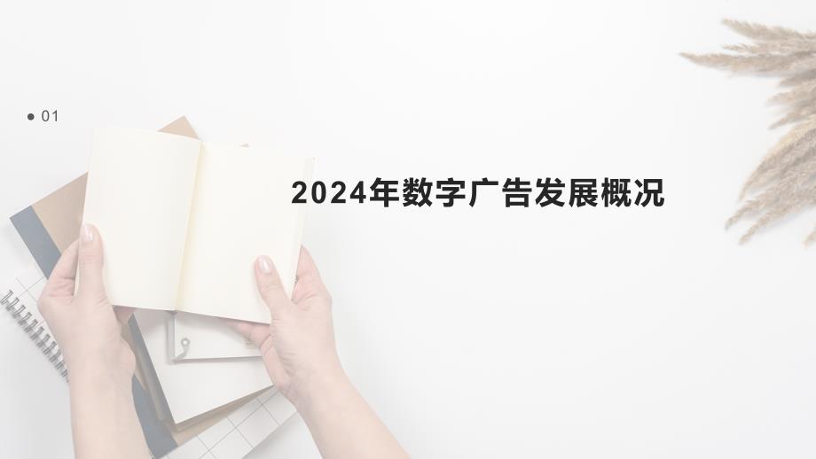 2024年数字广告效果_第3页