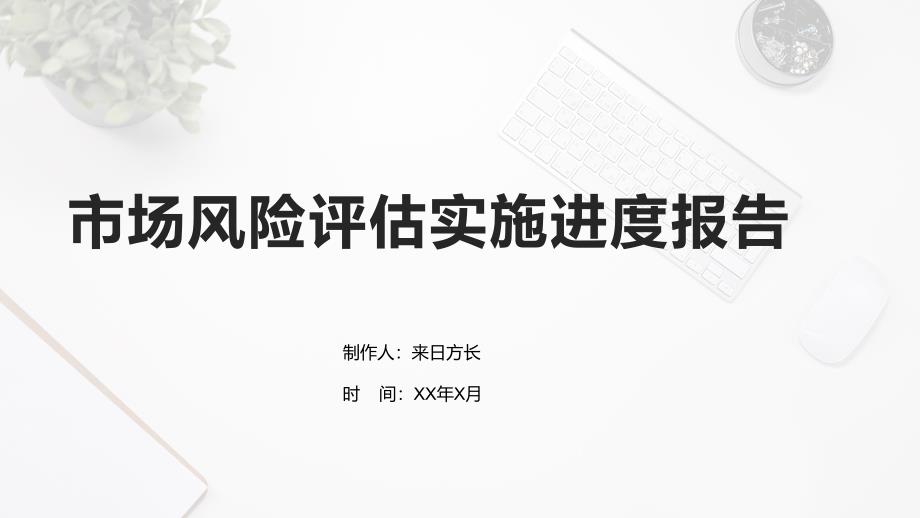 市场风险评估实施进度报告_第1页