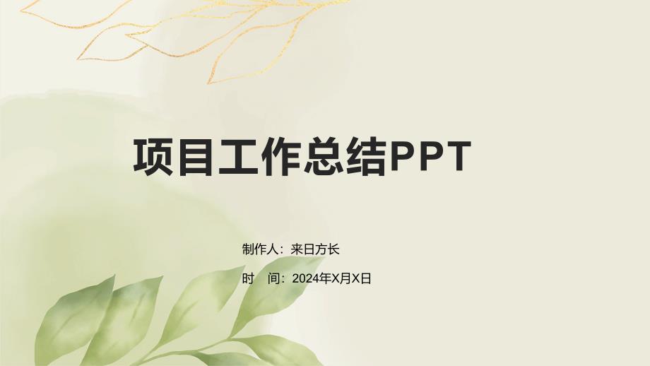 项目工作总结PPT_第1页