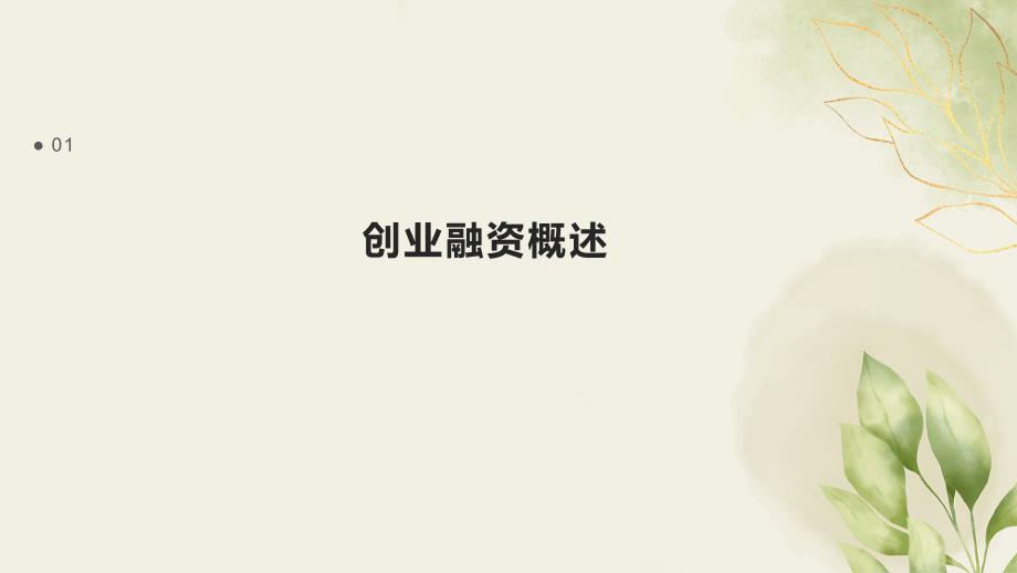 创业融资与公司治理_第3页