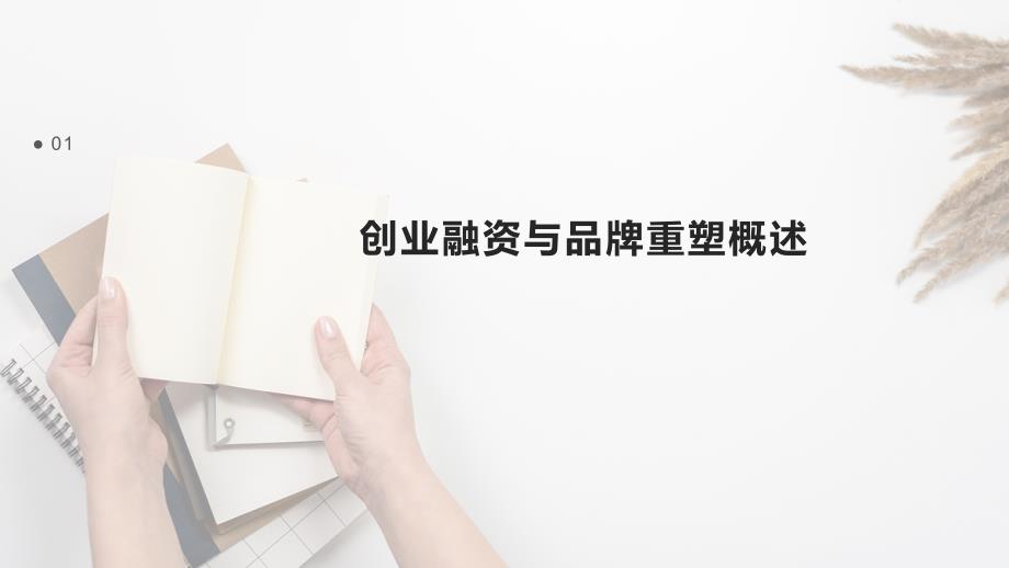 创业融资的企业品牌重塑_第3页