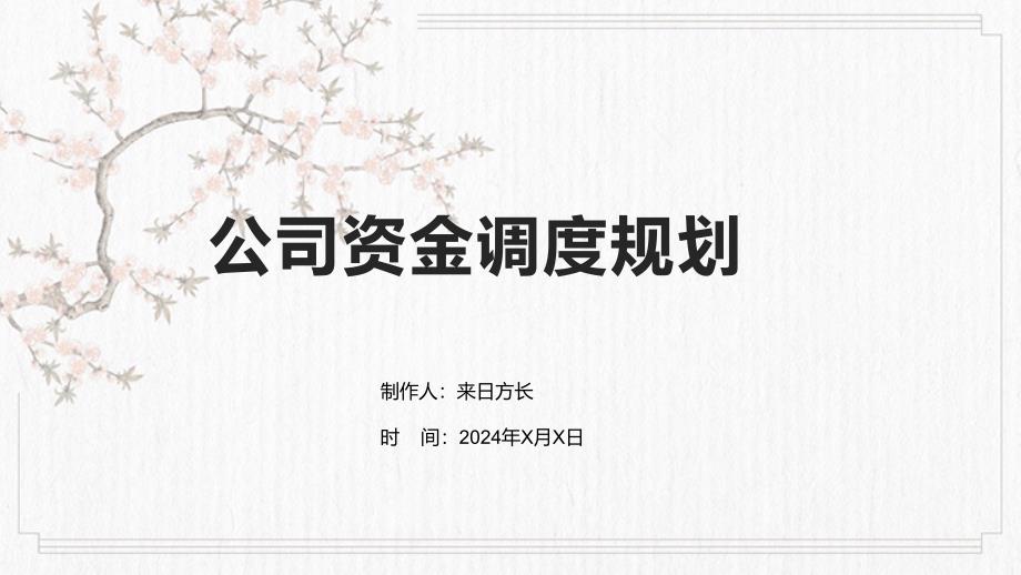 公司资金调度规划_第1页