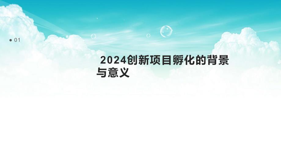 2024创新项目孵化_第3页