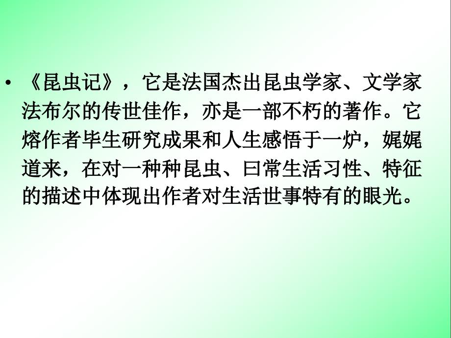 装满昆虫的口袋1【三年级下册语文】_第2页