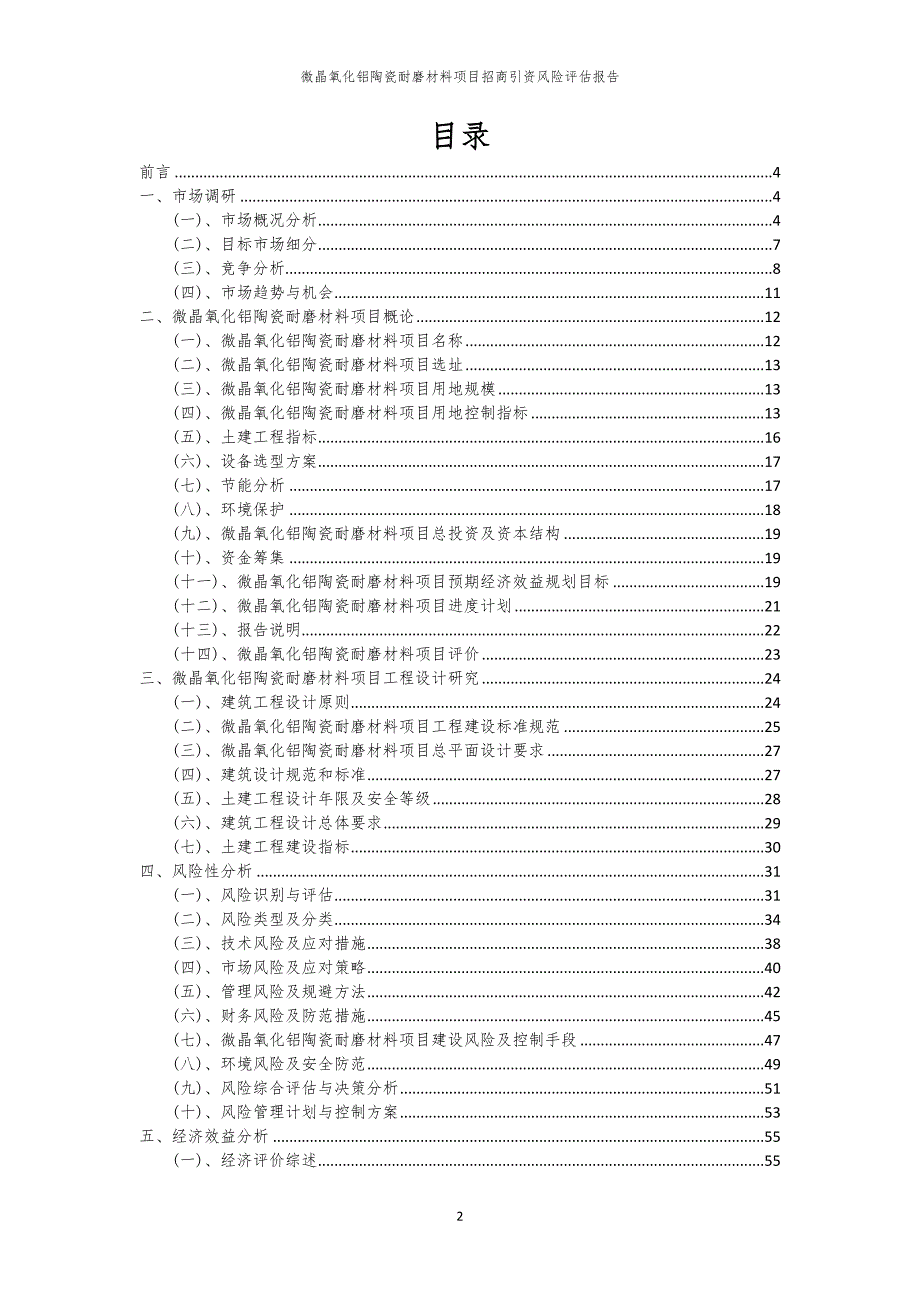 2023年微晶氧化铝陶瓷耐磨材料项目招商引资风险评估报告_第2页