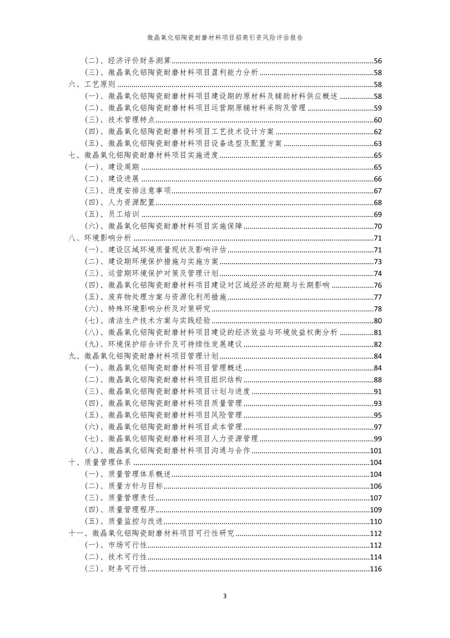 2023年微晶氧化铝陶瓷耐磨材料项目招商引资风险评估报告_第3页