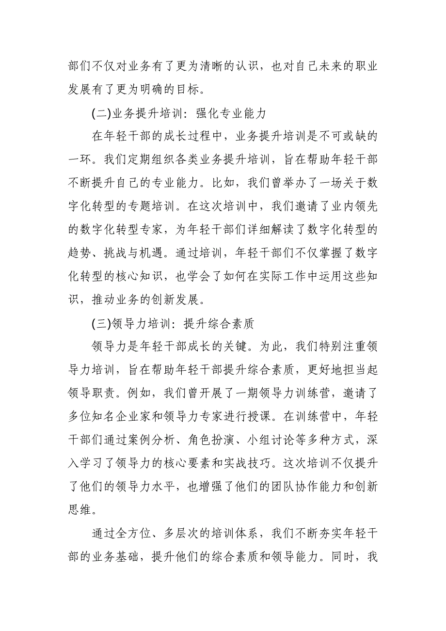 某区税务局三大举措创新推进年轻干部培养三年规划经验总结材料_第2页