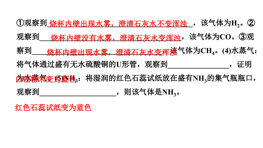 2024海南中考化学二轮重点专题突破 微专题 物质的检验与鉴别（课件）_第3页