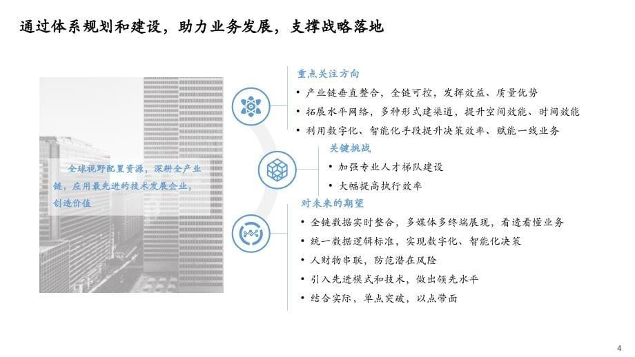 数字化建设总体规划蓝图设计方案_第5页