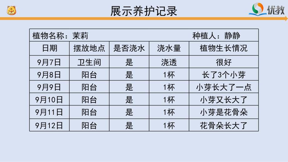 《谁的植物长得好》参考课件_第4页