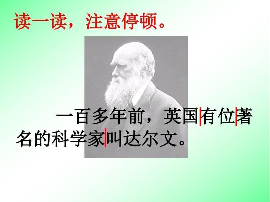 7有趣的发现2【苏教版二年级上册语文】_第5页