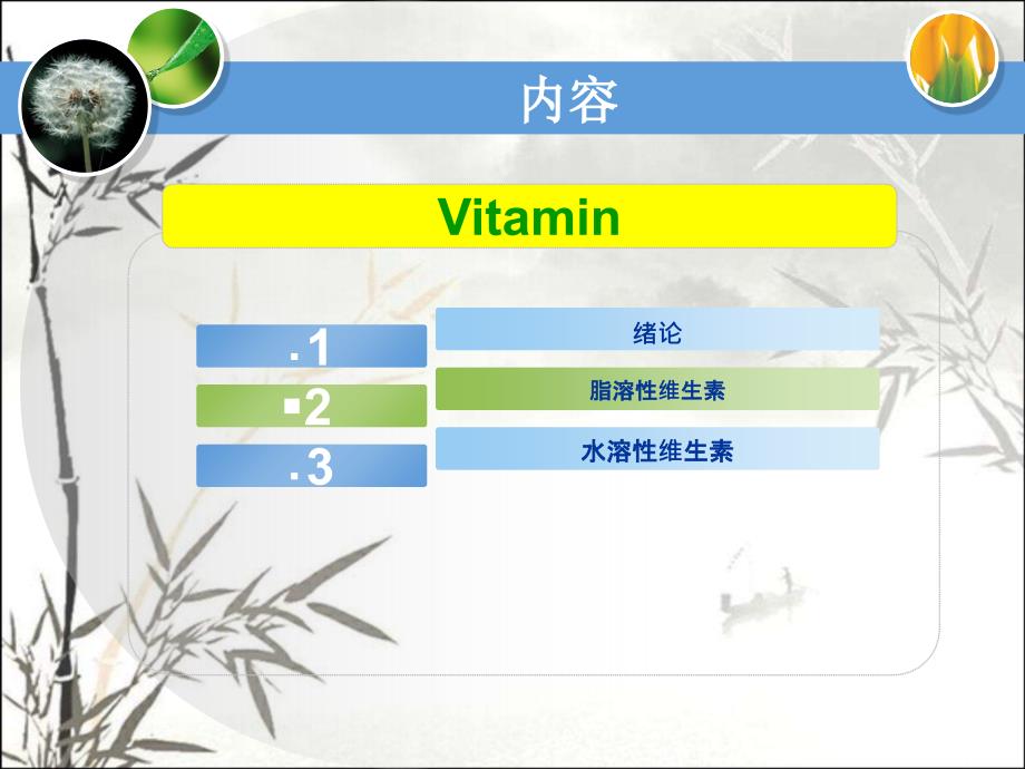 维生素概述-PPT_第2页