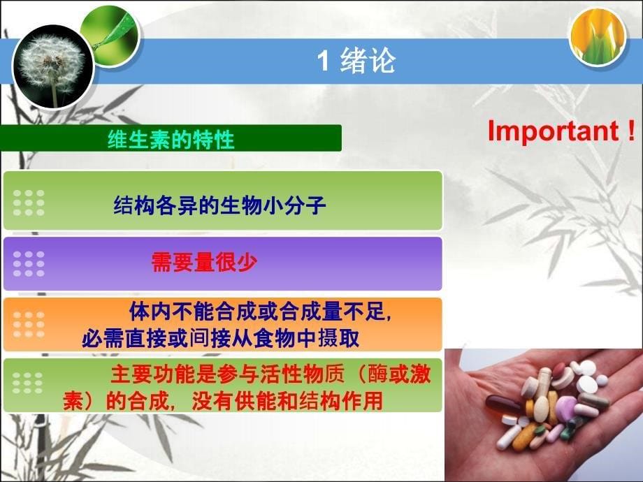 维生素概述-PPT_第5页