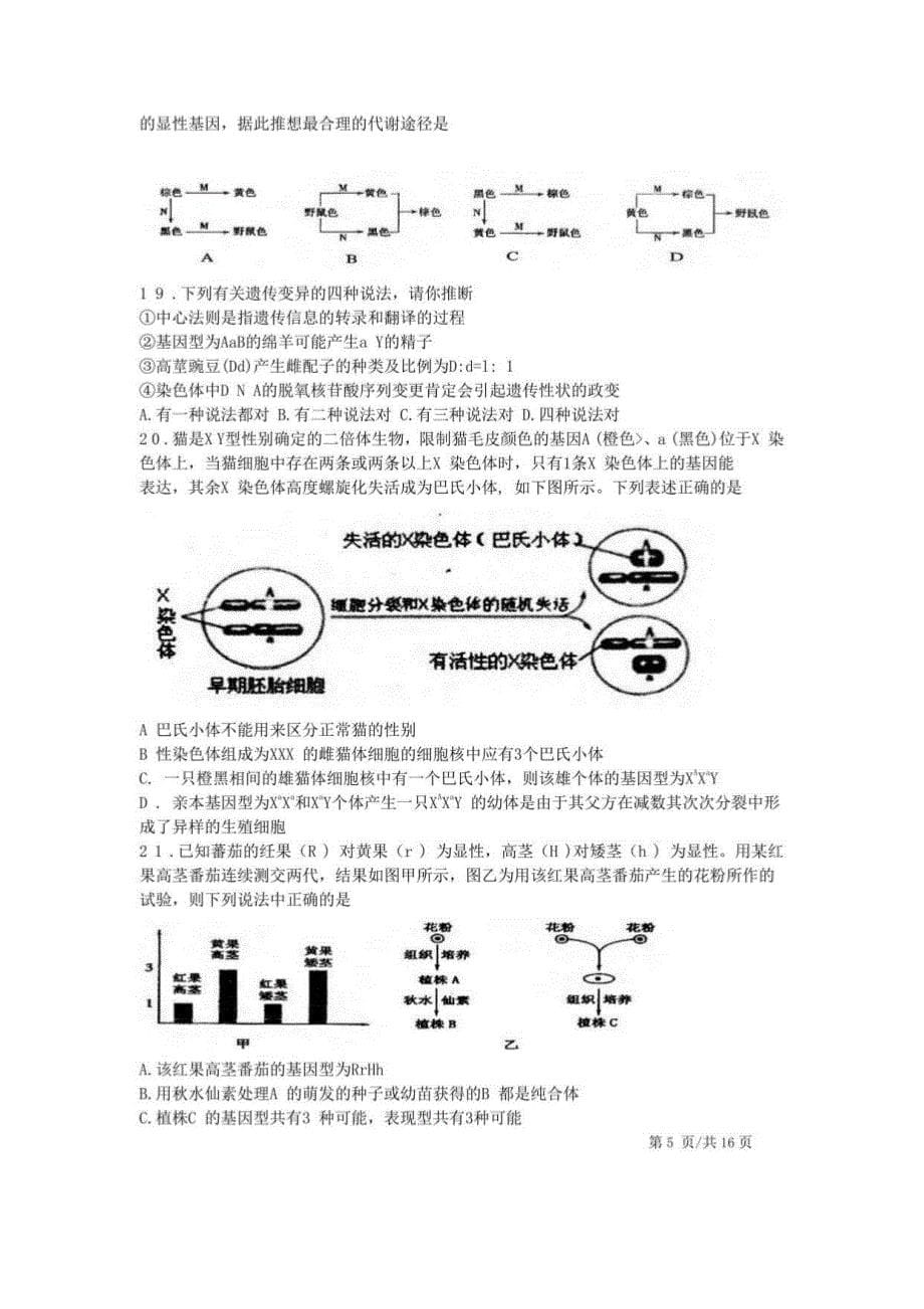 2023浙江省高中生物竞赛试卷及答案_第5页