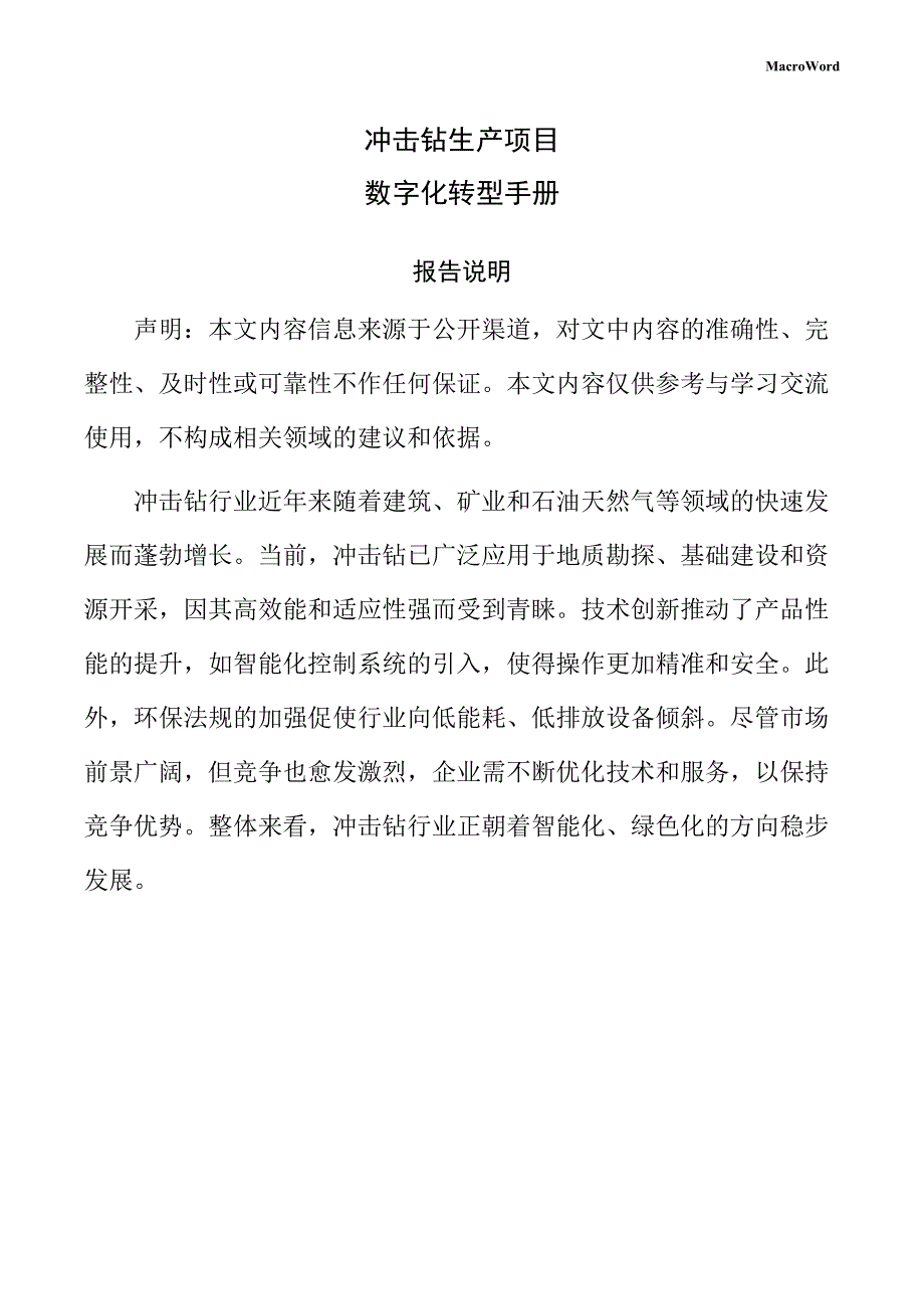 冲击钻生产项目数字化转型手册（范文）_第1页