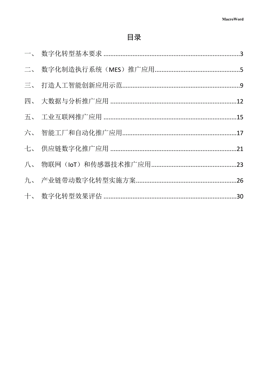 冲击钻生产项目数字化转型手册（范文）_第2页