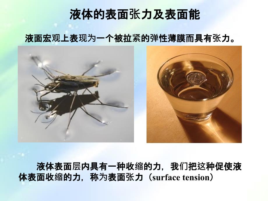 医用物理学07液体的表面现象ppt_第4页